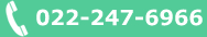 022-247-6966